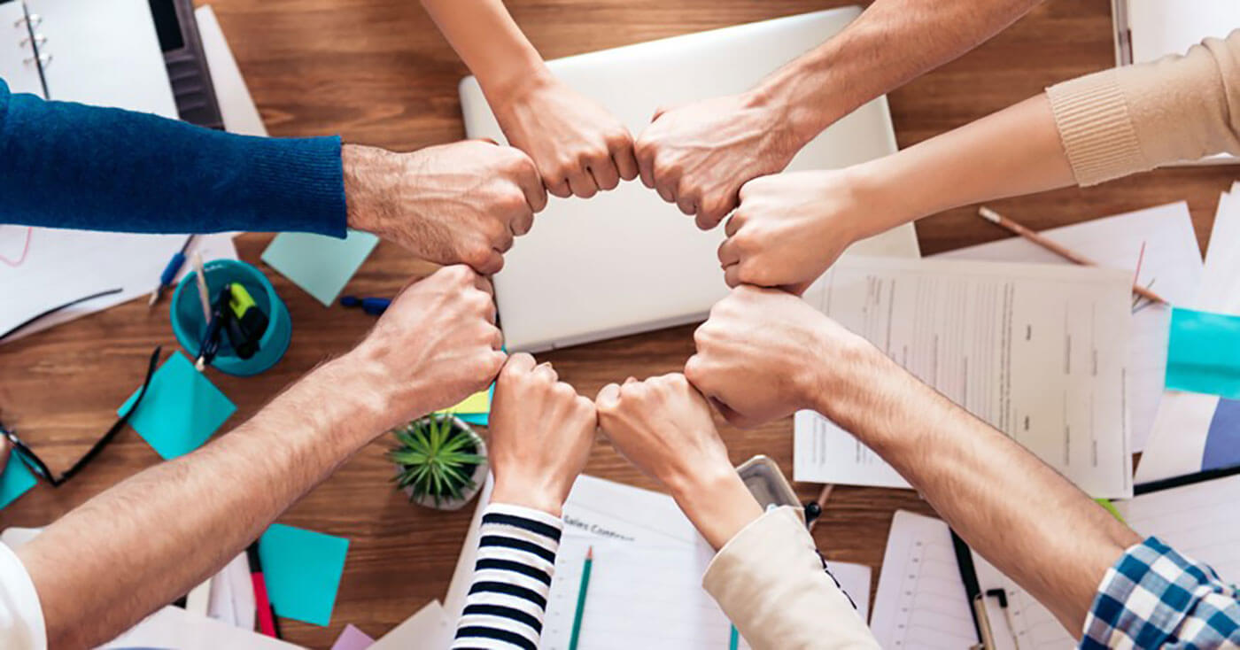 Company Development Story